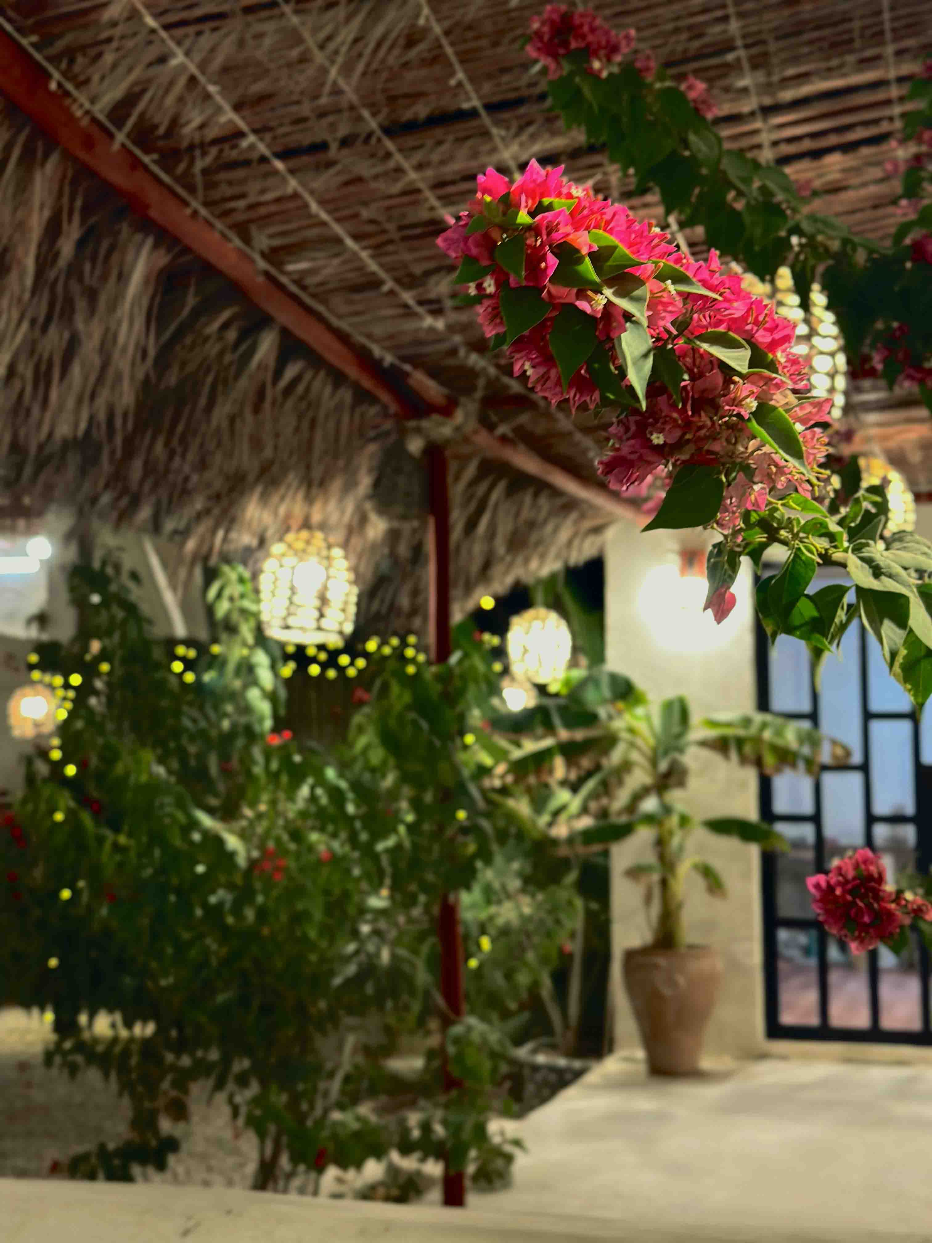 اقامتگاه بومگردی جزیره زیبای قشم